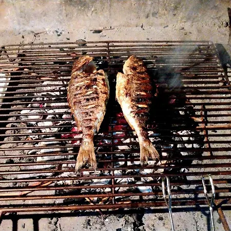 Grande Vista - Lovely With Private Spacious Lush Mediterranean Patio And Sea View Apartament Trogir